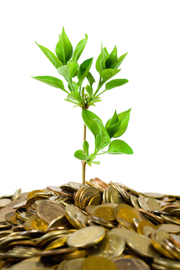 Investing