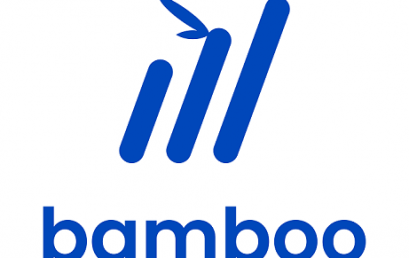 Bamboo